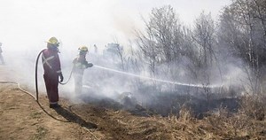 95 active wildfires reported across Saskatchewan