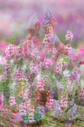 3.3K reactions · 190 shares | อัพเดทความสวยงามของ  Hokkaido Flower...