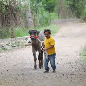 2.1M views · 32K reactions | दिवाळी विशेष गोळ्याचा कॉमेडी भाग 藍 | Adarsh Marathi | Facebook