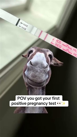 Staring at Your Pregnancy Test? TWW Reality 🩷