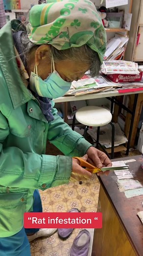 How Bread Can Attract Rats to Your Home