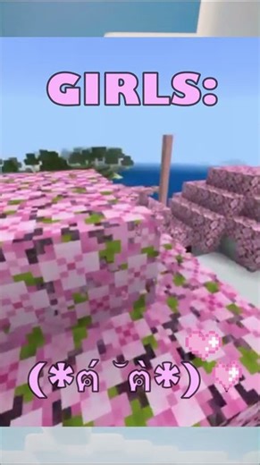 Minecraft Boys vs Girls 😂 #minecraft #shorts