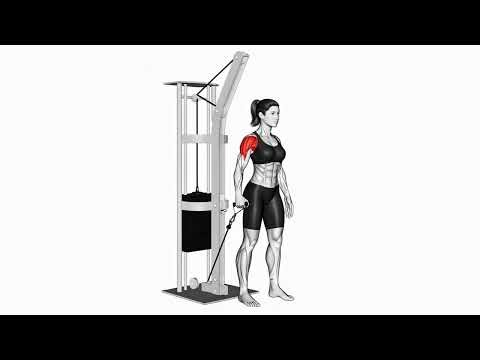 Cable One Arm Front Raise – Shoulder Isolation Exercise | Gym-Animations Demo