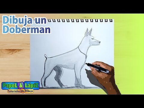 Aprende a dibujar un perro Doberman