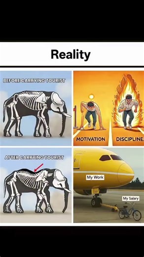 #theamazingdigitalcircus