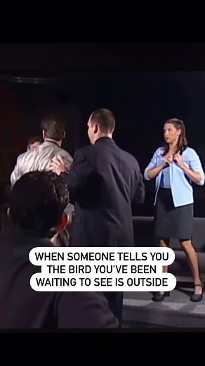 Berd Nird on Instagram: "Typically called your nemesis bird, the bird that eludes you at every turn, the one everyone else sees but you! You will cuss at it! 😂 #birding #birds #birdwatcher #birdphotography #birdlovers #nature #naturephotography #comedy #birder"