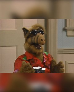 263K views · 6K reactions | ALF thinks he hit the jackpot... turns out he just subscribed to 500 magazines.  #ClassicALF #comedy #sitcom #humor #magazines #ALF #Alien | Alf | Facebook