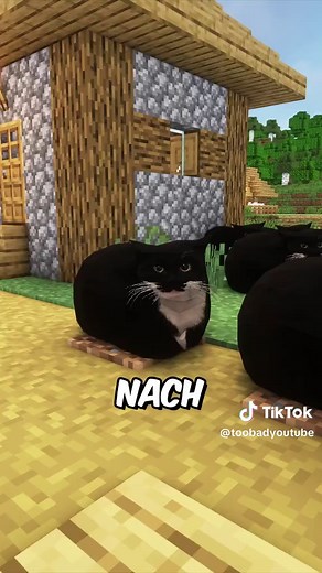 Wie Youtuber um Abos betteln: Die besten Methoden
