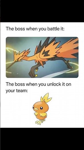 This is why you use premier balls on legendary Pokémon #pokemonteam #pokemon ￼