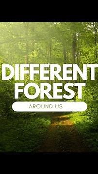 "Nature's Diversity: A Look at the Different Types of Forests"
