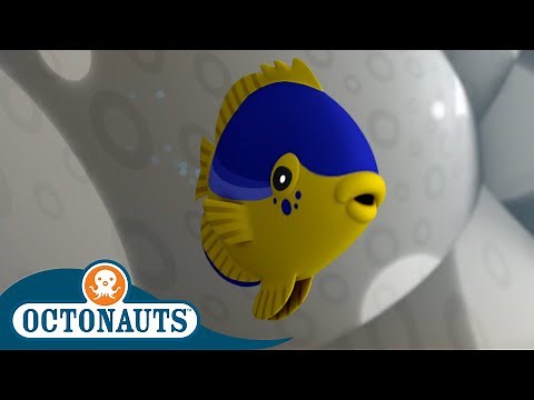 ‪@Octonauts‬ - The Hostile Damsel Fish 🐠 | Series 2 | Full Episode 7 | Cartoons for Kids