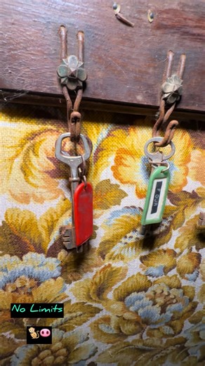 The keys was still hung up ! #nolimits #fy #adventure #explore #timecapsule @DARK EXPLORES