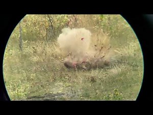 Prairie dog hunting, explosive slo-mo, SoDak 23 E1 "Juicy"