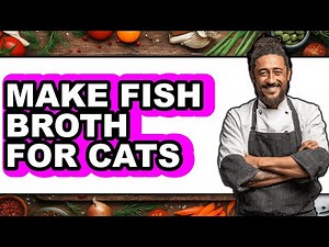 How To Make Fish Broth For Cats - Easy Guide