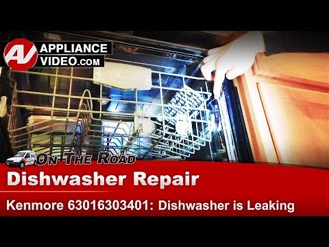Kenmore Dishwasher Repair - Leaking From Right Side - Door Seal Diagnostic & Repair
