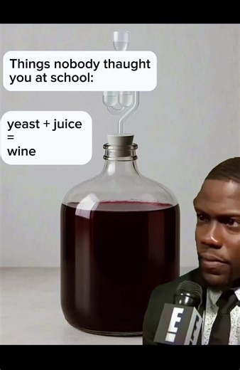 … #wine #winemaking #homemadewine #homebrewing #diy #pov #fyp
