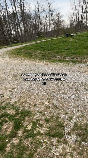 Entrenamiento para hacer que los caballos aparquen