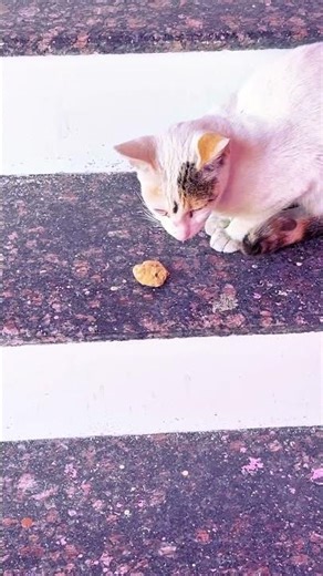 Aaj achanak mala college la java lagla || mala patang 🪁 sapadla ||#ytshorts #youtube