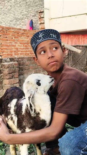 chandaniya 💖😳|#shorts |#song |#chandaniya |#viralshort