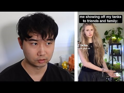 "Why don't you get some GOLDFISH?" | Fish Tank Review 337