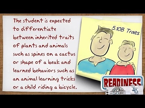 Texas 5th grade Science Readiness Standard 5.10B Inherited Traits and Learned Behaviors, TEKS
