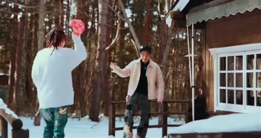 Understanding Moon Flowers: Botanical Insights