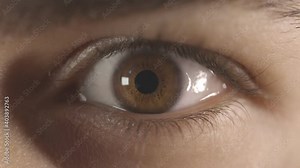 Macro detail of a brown eye with long lashes. Opening and closing of the eye. Pupil dilation reaction to light.