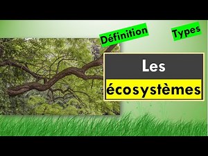 Les Écosystèmes