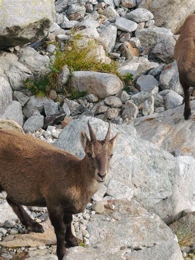 Remi_ragnar on Reels