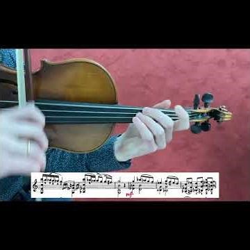 Day 99 | Paganini Caprice No.11 | Ultra Close Violin View