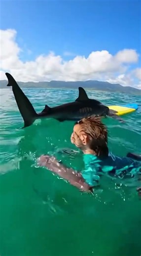 Affe Kona, cooler Surfer. Wurde von seinem Mini-Surfboard (echtes Produkt für Haustiere. 🐒😂