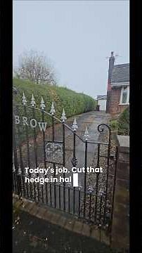 trim half the hedge, privet trim #gardentok #gardenhedge #gardening #hedgetrimming