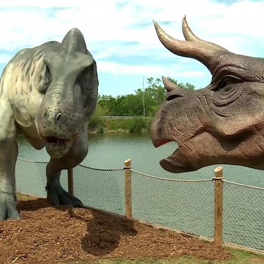 53K views · 773 reactions | 練 DINOSAURS IN OKC! The Oklahoma City Zoo and Botanical Garden's new Dino Safari exhibit features 15 life-size animatronics and eight skeleton replicas. https://bit.ly/2PI20kl | KOCO 5 News | Facebook