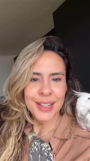 Club des Calopsittes on Instagram: "Plus qu’un simple animal, une vraie compagnie ! 🕊️✨ Vous avez été nombreux à me demander le secret pour avoir une calopsitte aussi calme et complice. La vérité ? Tout commence par une bonne santé et une éducation bienveillante. J’ai condensé toutes mes astuces de soignante et passionnée dans mon Guide Complet + Santé. 👉 Apprenez à décoder ses besoins et évitez les erreurs fatales. Téléchargez votre guide maintenant (Lien en Bio) ! 🦜 #calopsitte #perruche #o