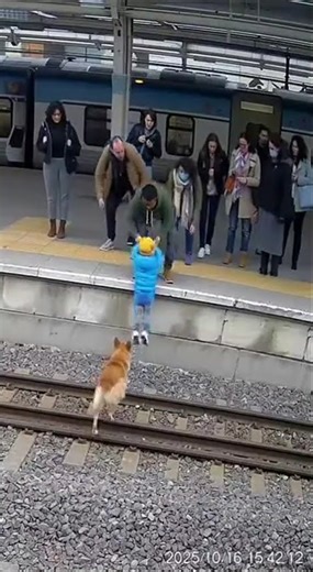 Baby & Dog Fall on Station 😢🐶 | Dog’s Reaction Will Melt Your Heart
