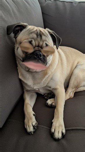 8 de febrero de 2026