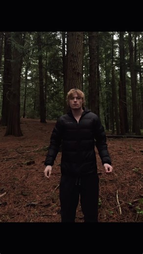 Ice world everything is glittering #bladee #forest #aesthetic #winter #fyp