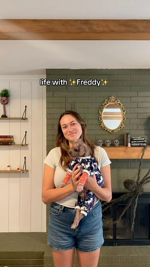 Day 3 with Freddy. I got a wrap, so I never have to put him down. I think he approves. Thank you to everyone who has helped donate and shown support in all the ways! If you’d like to donate to help Freddy and others like him that we save, we set up a fundraiser “Freddy Fund.” So we can continue to give these medically fragile babies a chance. Contribute here: https://donorbox.org/freddy-fund #CFFfreddy #caitiesfosterfam #rescue #adopt #foster #houston #freddy #houstonrescue | Caitie’s Foster Fam