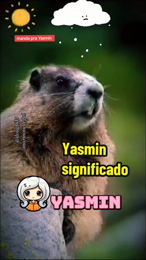 Yasmin: O Significado e a Beleza por Trás do Nome