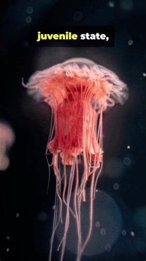 7 Mind-Blowing FACTS about ANIMALS you didn't know! #animalfacts #wildlife #mindblowingfacts #shorts