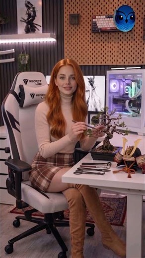 I installed the latest Windows 11 update on an unsupported PC… in the sun ☀️