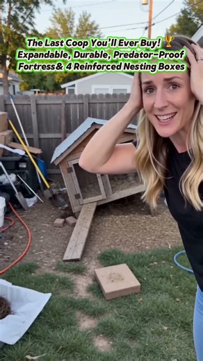 Backyard Chicken Coop with Run 🐔 Expandable Wooden Hen House for 2–8 Chickens #chickencoop
