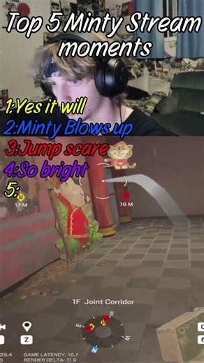 Top 5 Minty Stream Moments #minecraft #funny #shorts #viral #minecraftgameplay