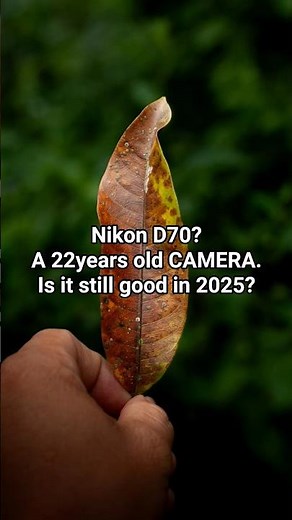 Nikon D70 22 yrs old DSLR, 50mm F1.8 #nikond70 #photographer #lightroom #naturephotography #nature