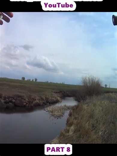 Fishing in the Floodplain: Counting Stream Fish