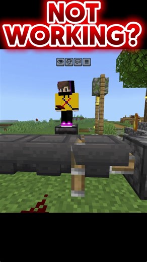 Dupe Glitch Ultimate Solution #shorts #minecraftpe