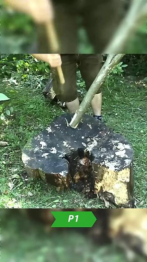 Build The Hobbit's House - P1 #build #survival #survivaltips #bushcraft #campinglife #house #house | Ricky NaNa