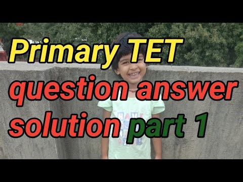 Primary TET Question Answers Part 1