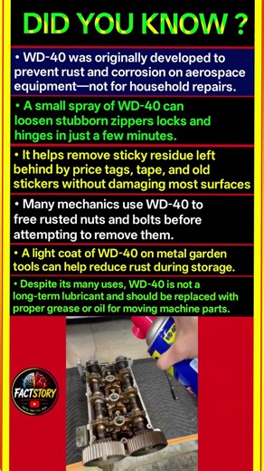 Surprising WD-40 Uses That Actually Work