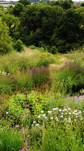 2.3K views · 28 reactions | 'To create a garden with heart and soul, you must first engage meaningfully with the space’ - Dan Pearson ⁠ Learn more about Dan's upcoming course through the following link. https://www.createacademy.com/courses/dan-pearson-planting-design | Create Academy | Facebook